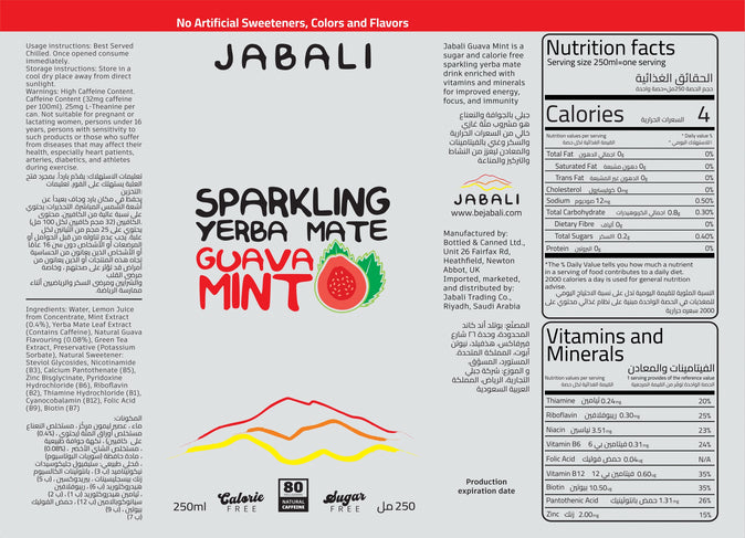 Guava Mint Sparkling Yerba Mate (12-pack)